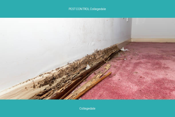 PEST CONTROL Collegedale